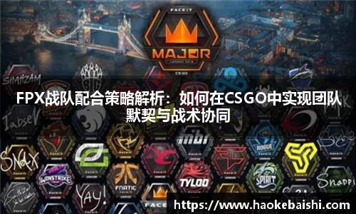 FPX战队配合策略解析：如何在CSGO中实现团队默契与战术协同